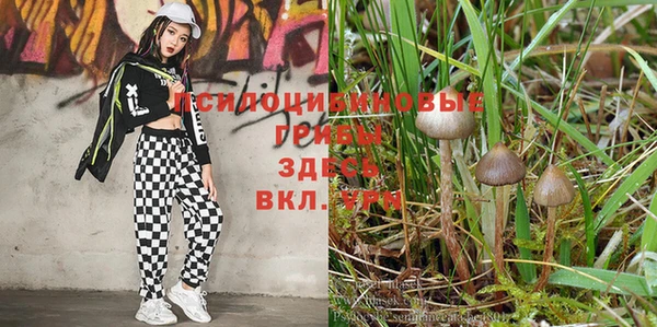 бутик Магас