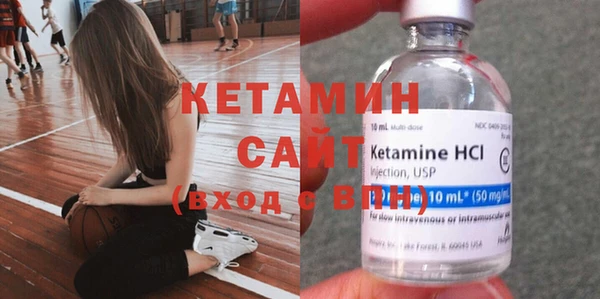 шишки Белая Холуница