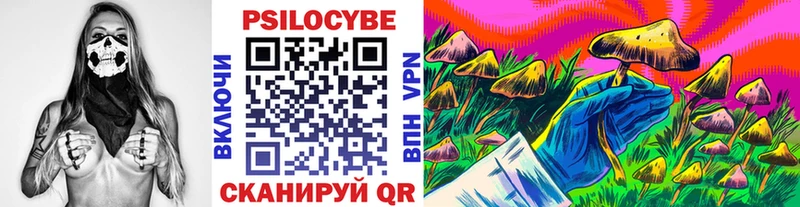 блэк спрут маркетплейс  Николаевск  Галлюциногенные грибы Psilocybine cubensis  цена  