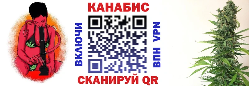 где продают наркотики  Николаевск  Канабис White Widow 