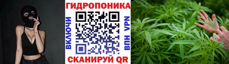 Канабис SATIVA & INDICA Николаевск